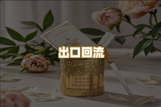 出口回流